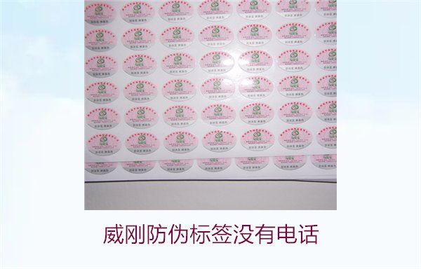 威剛防偽標(biāo)簽沒(méi)有電話，如何通過(guò)其他方式驗(yàn)證威剛防偽標(biāo)簽的真?zhèn)?圖3)